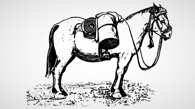 Лошадь, навьюченная бортевыми снастями