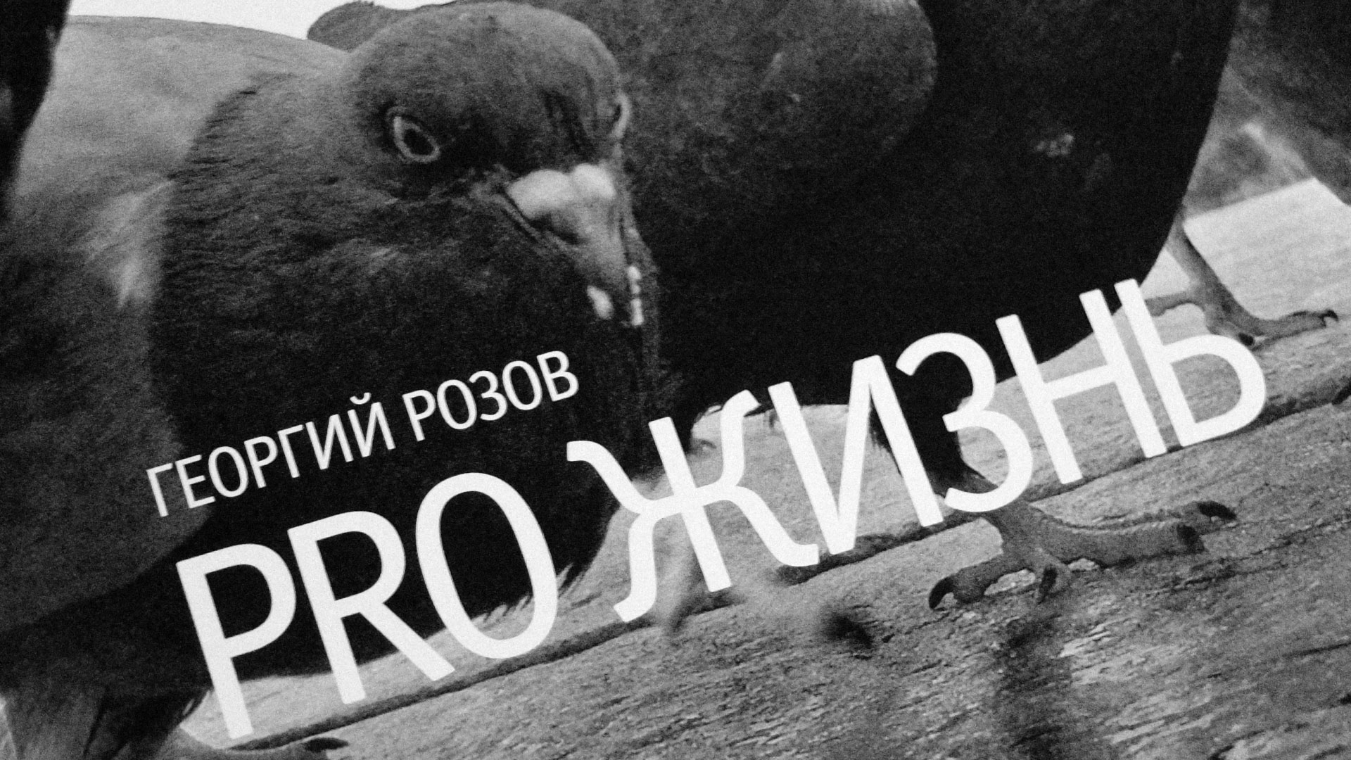 Давай на память!? Почему я стал бояться этой фразы теперь, после смерти фотографа Георгия Розова0