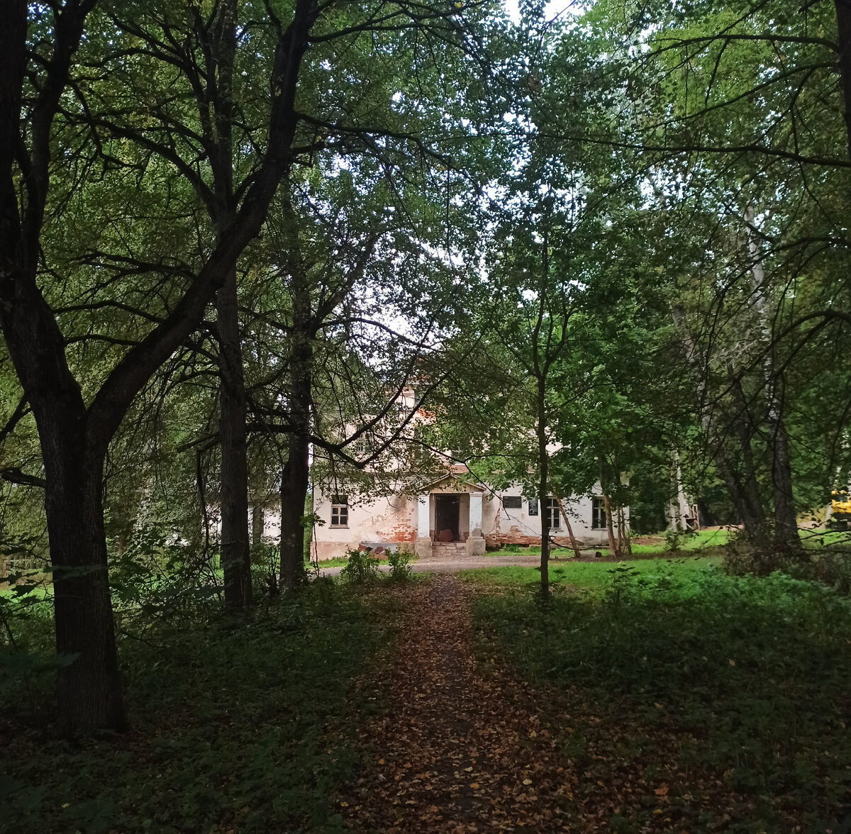 Аллея к главному входу. Здесь и далее - фото лета 2021 года, кроме старых фото 