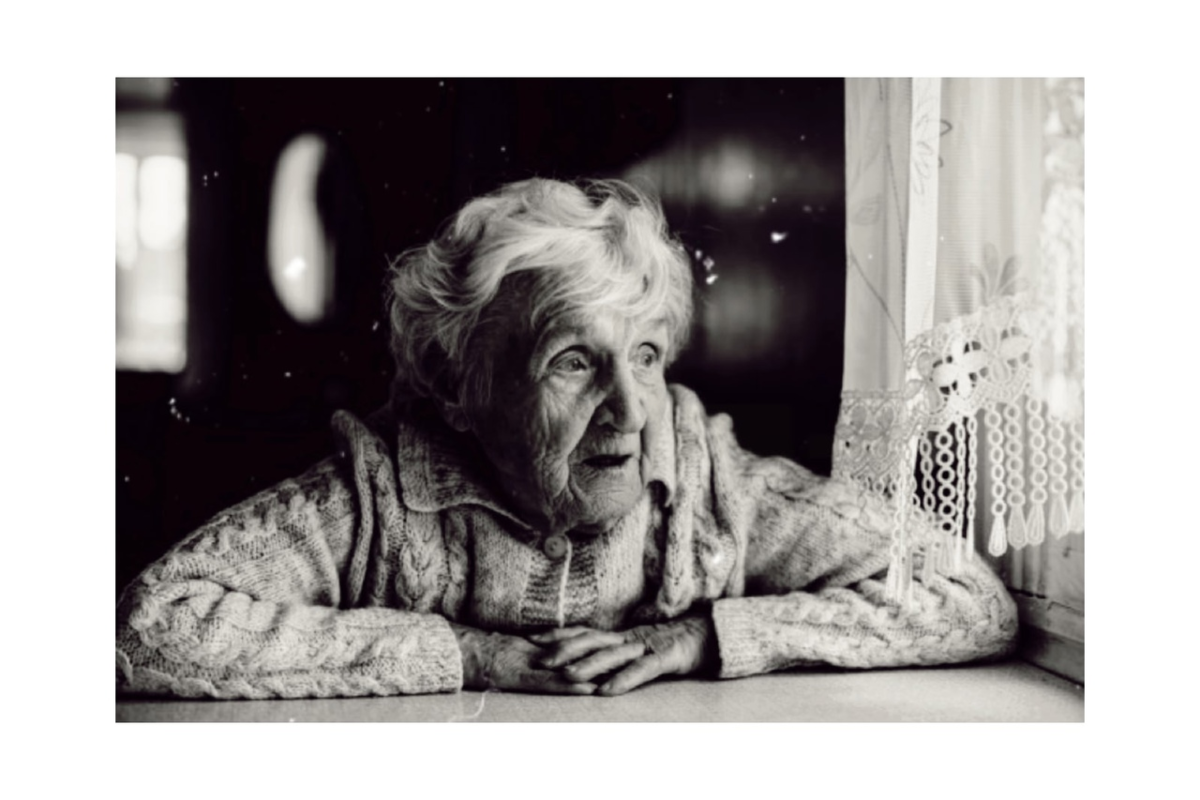 Добавьте описание