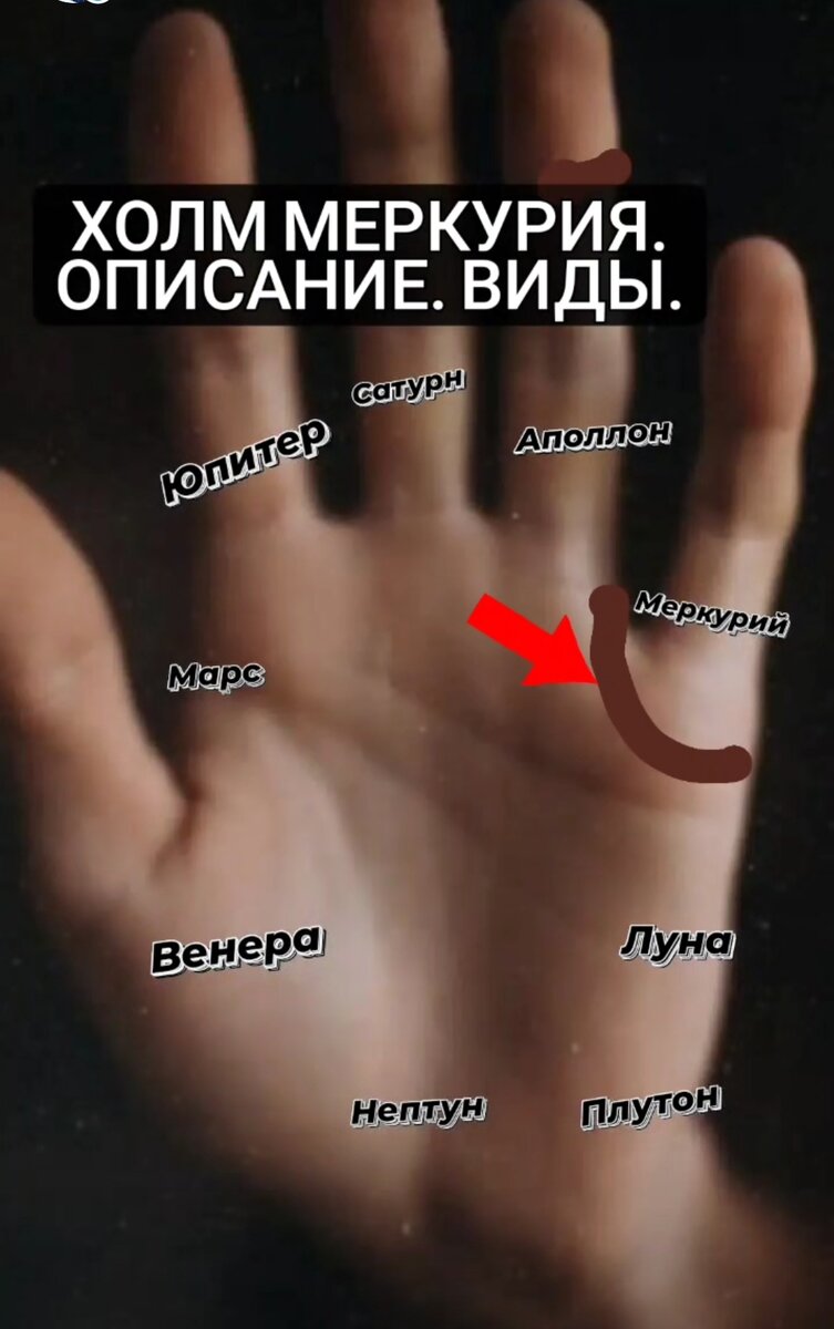 Холм Меркурия. Холм Меркурия на ладони фото. Бугор Меркурия. Ветка от холма Меркурия.