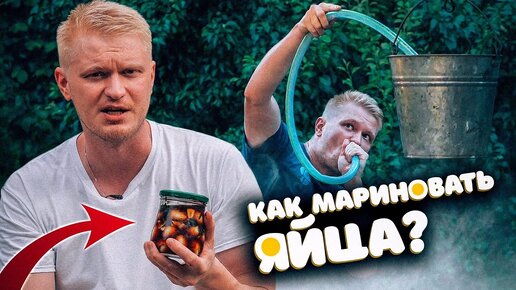 Нашел гнездо - маринуй яйца!