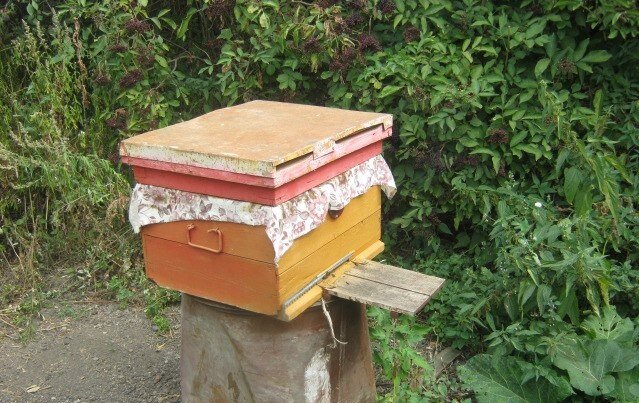 Архивное фото. 