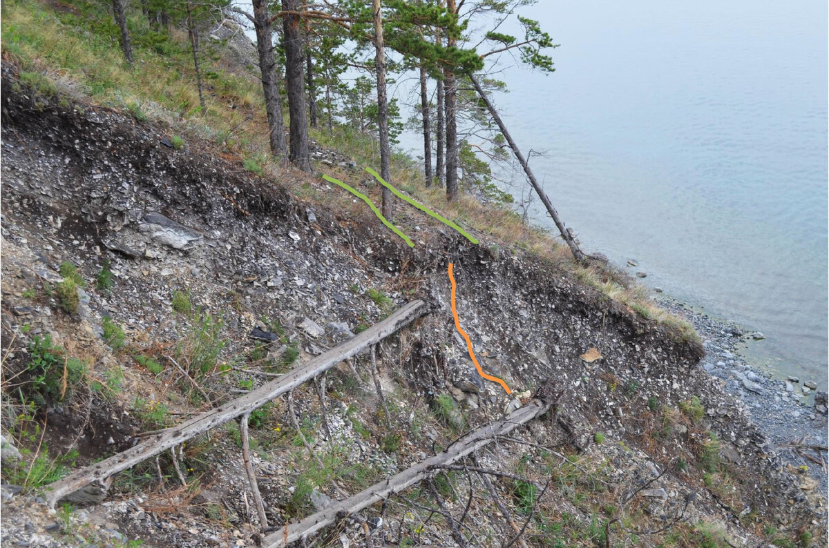 Овраг "съел" часть тропы. Зелёным обозначено полотно.