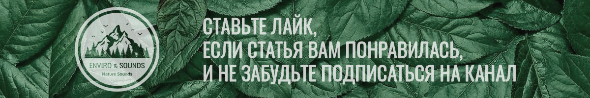 Лайки и подписки приветствуются :) 