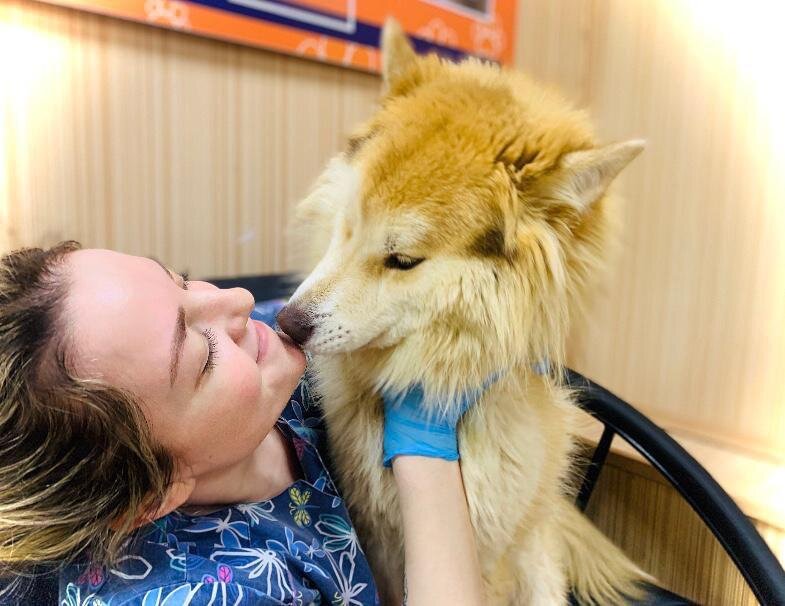 Абрикосу нужен человек