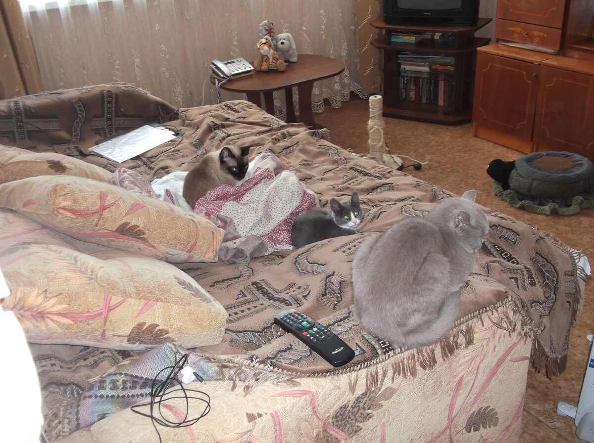 Фото из личного архива. Банда в сборе