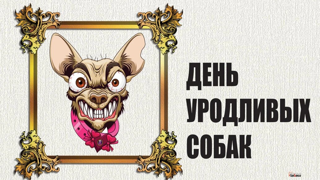 День уродливых собак  - 20 июня. Фото: «Курьер.Среда»