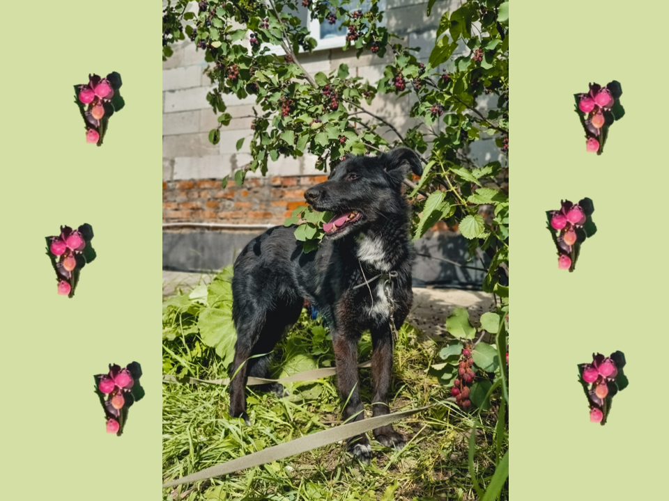 Рада - сама элегантность!