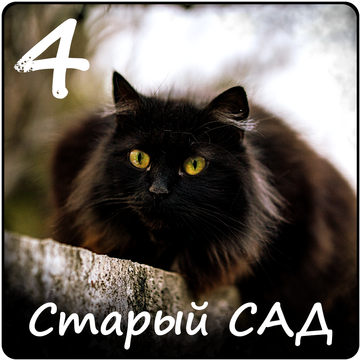 Старый сад. Часть 4 | Сад с Феями | Дзен