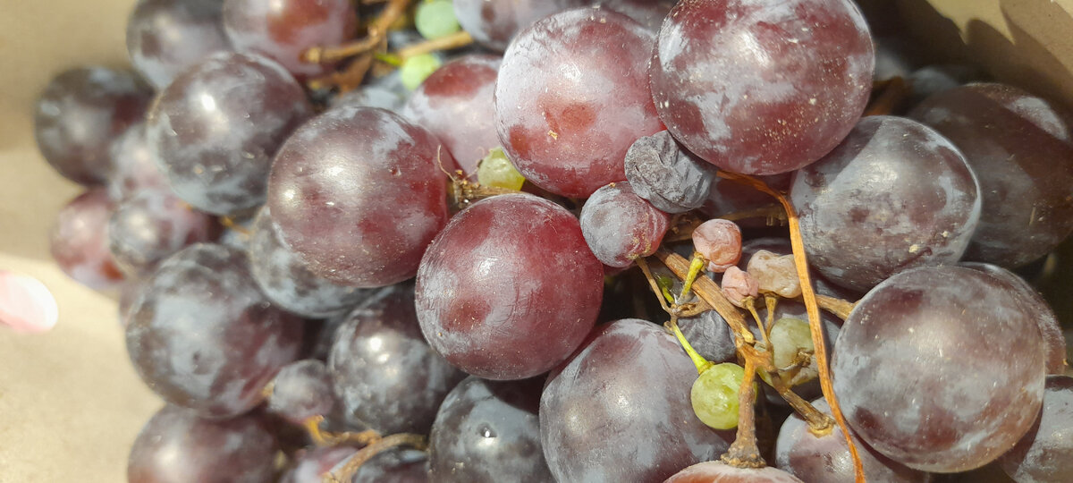 Мы вчера ходили в магазин, а там...виноград.