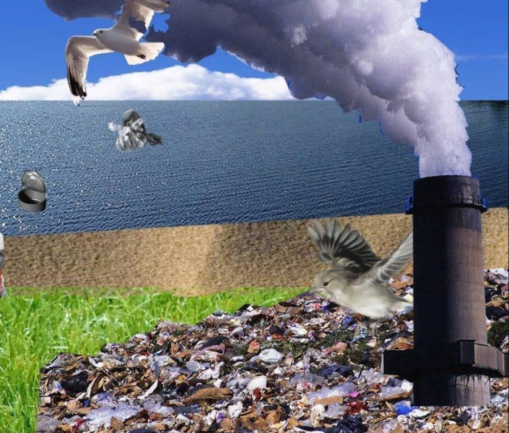 Вред окружающей среде а также