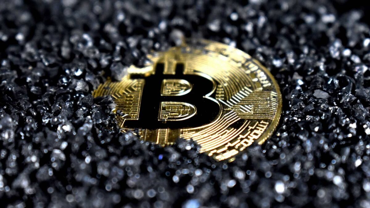    Фото: Unsplash Август Макаров