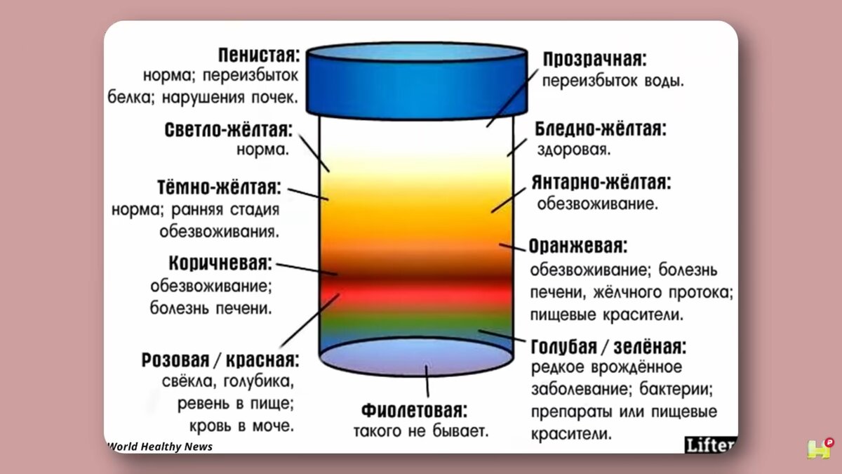 Какого цвета моча у здорового человека