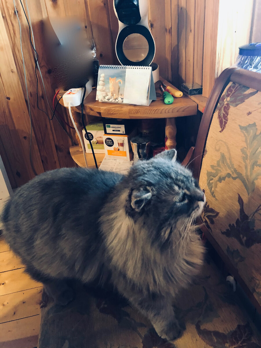 Срочно выпустите меня из дома! Не хочу я творожок!