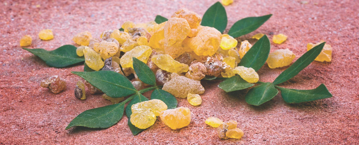 https://carusosnaturalhealth.com.au/blogs/articles/the-healing-benefits-of-boswellia