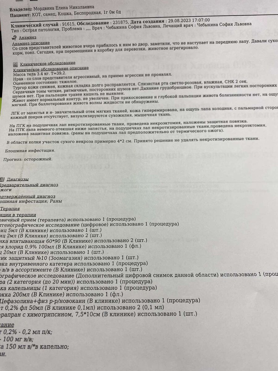 Клиническое обследование