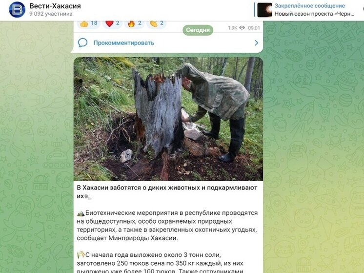 ФОТО: СКРИНШОТ КАНАЛА "ВЕСТИ-ХАКАСИЯ" 