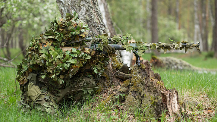 ФОТО: STOCKSHAKIR/SHUTTERSTOCK.COM 