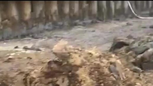 ОСУШЕНИЕ.РФ - компания лидер 🥇 на рынке услуг строительного ...