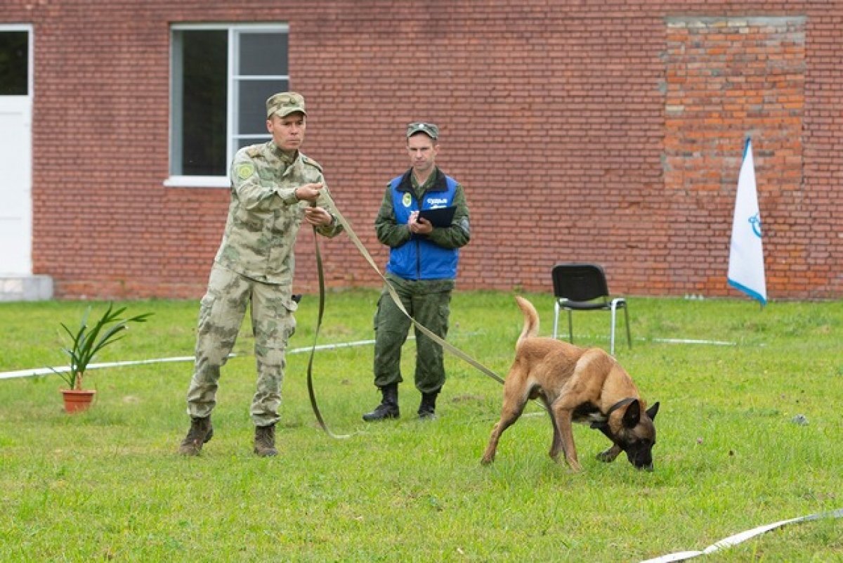    Кинологи Росгвардии из Хабаровска стали третьими на Всероссийском конкурсе