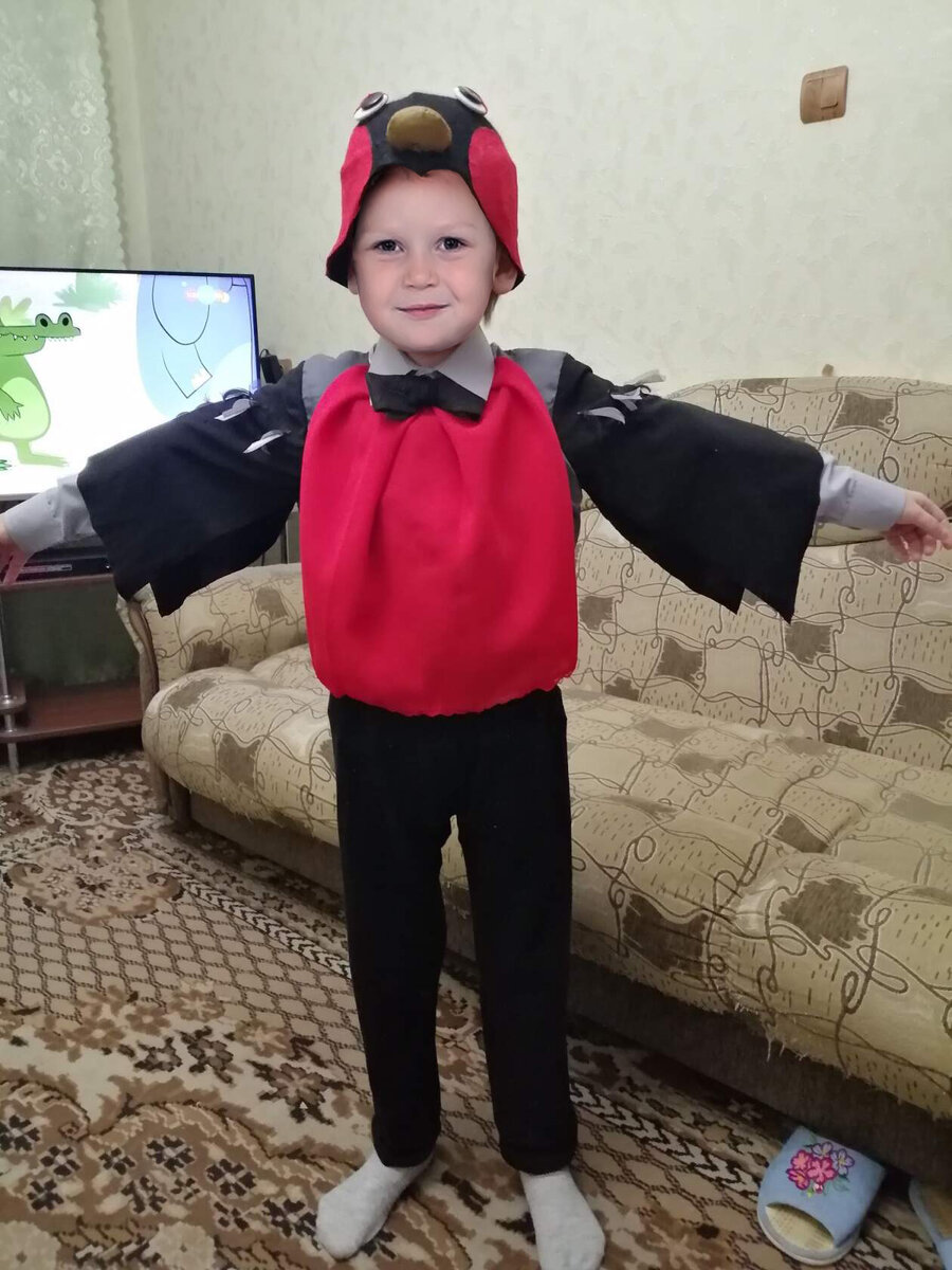 Вот так костюм должен был выглядеть.                                                                                                      