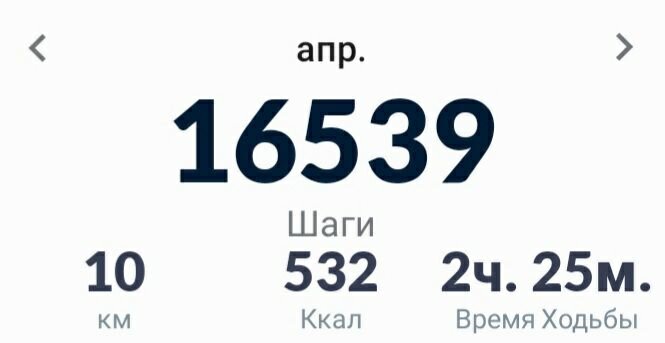 Сегодня пройдено 10 километров
