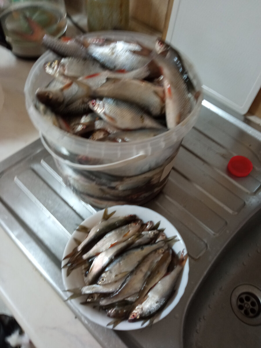 Фото автора.