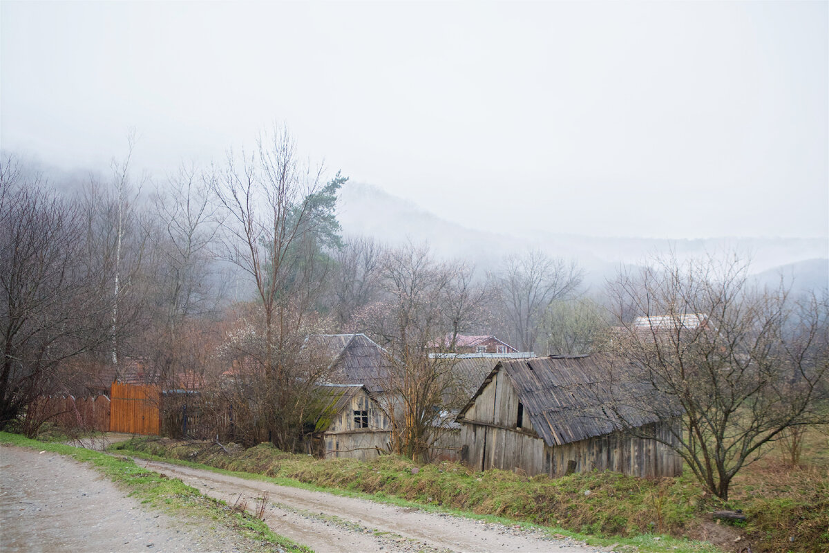 Сколько стоит построить дом в лесу | ТРОЕ С КАМЕРОЙ | Дзен