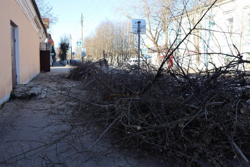 Вырубка деревьев в центре Новой Ладоги. Источник: ТГ-канал "Живой город"