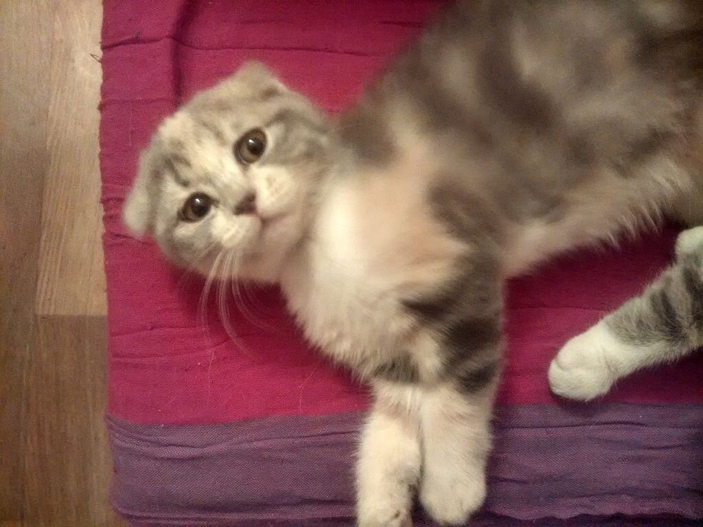 Тоже дочка моего Вани