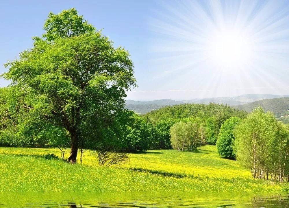 из Интернета