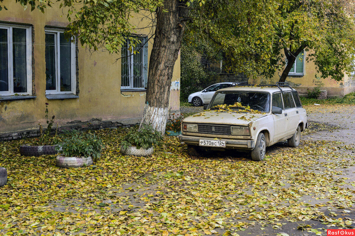 Яндекс картинки свободный доступ