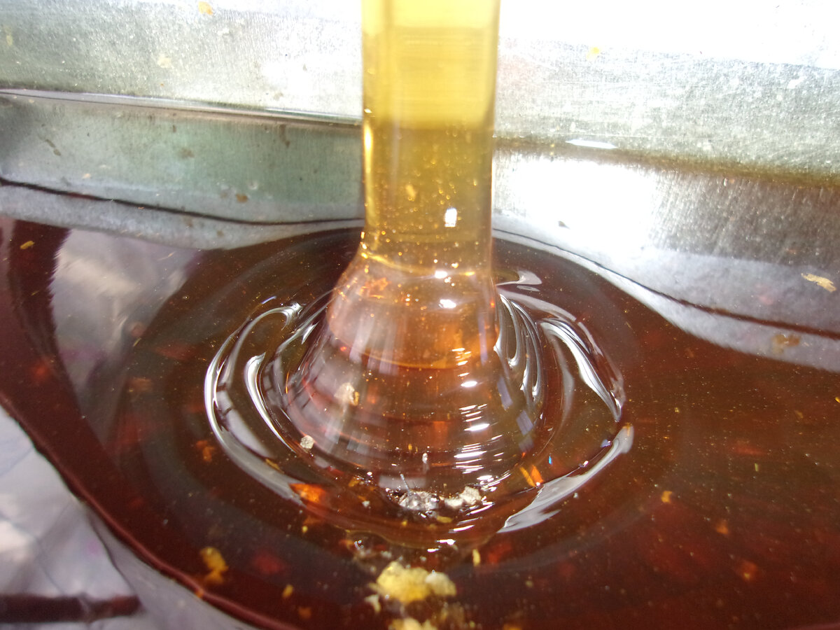                                          Целебный продукт! Фото автора.