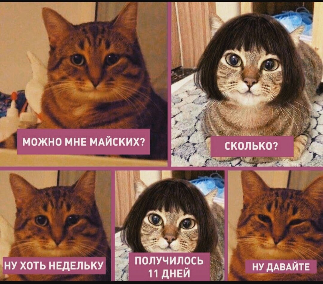 Мем из сети интернет