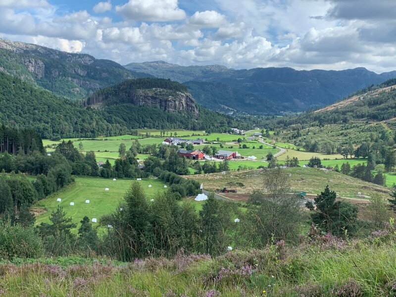 Типичный норвежский вид