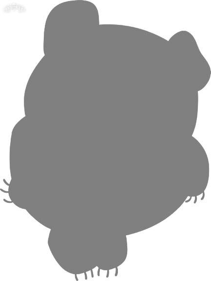 Подсказка :