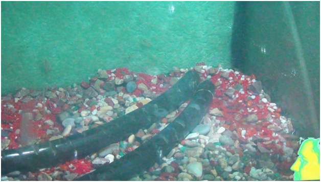 Заложил в слой заранее утрамбованного твёрдого настила дренированные трубки, и собираюсь их засыпать.