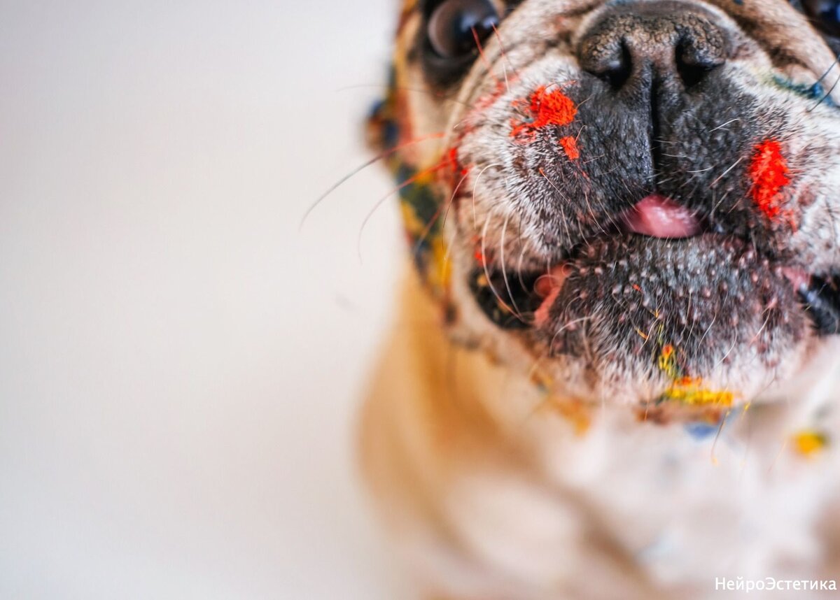 Изображение Alexandr Ivanov с сайта Pixabay 