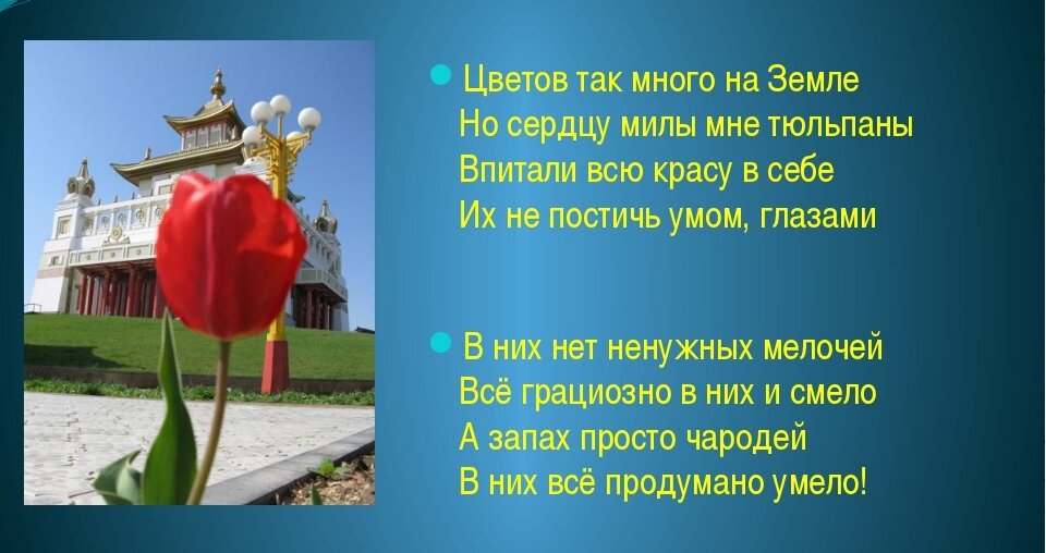 Как называется песня украл для тебя тюльпан. Стишок про тюльпаны короткие и красивые. Стихи про тюльпаны. Стихотворение про тюльпан. Стихи про тюльпаны короткие и красивые.