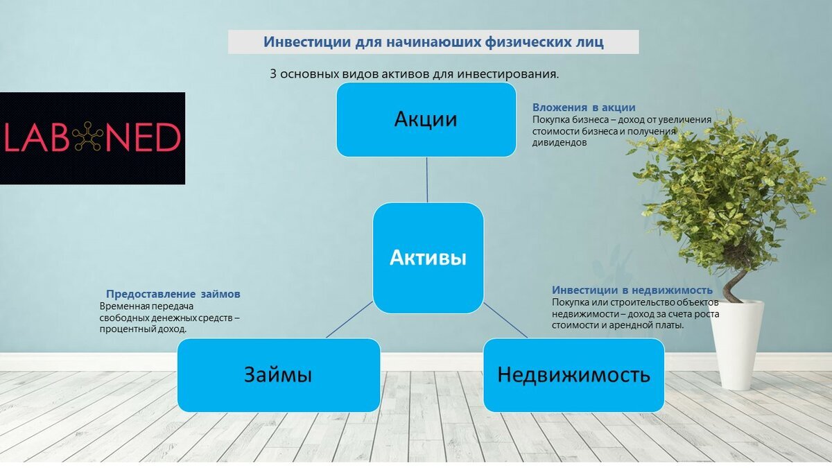 Реальные инвестиционные проекты которые платят деньги каждый день