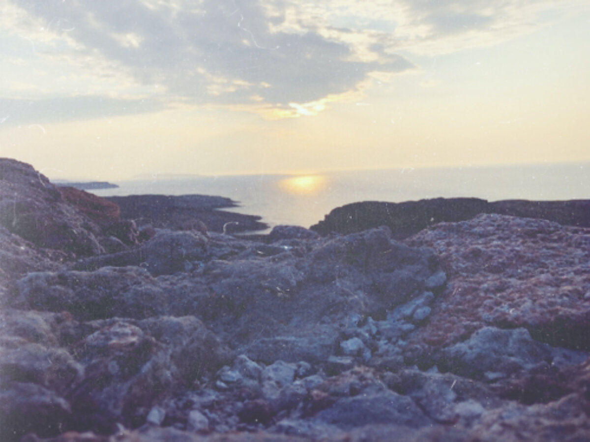 Фото: С. Садовникова