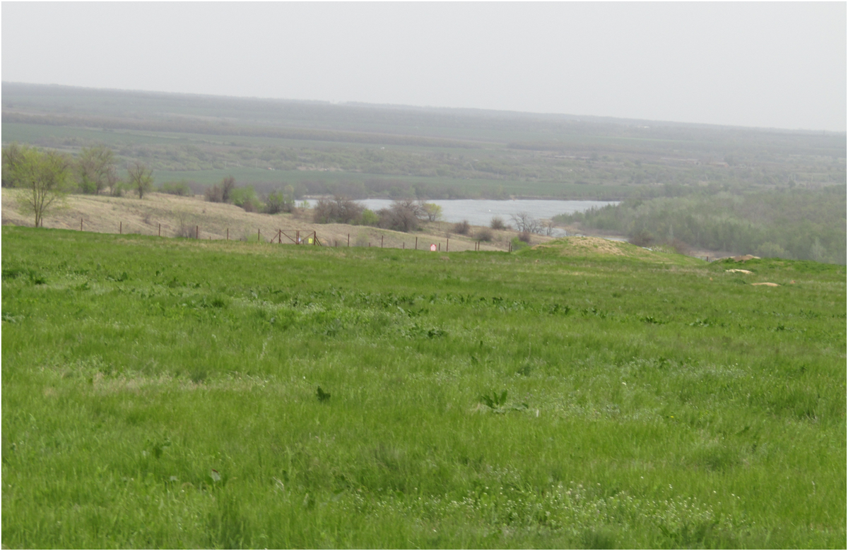 Подъезд к хутору Старозолотовский