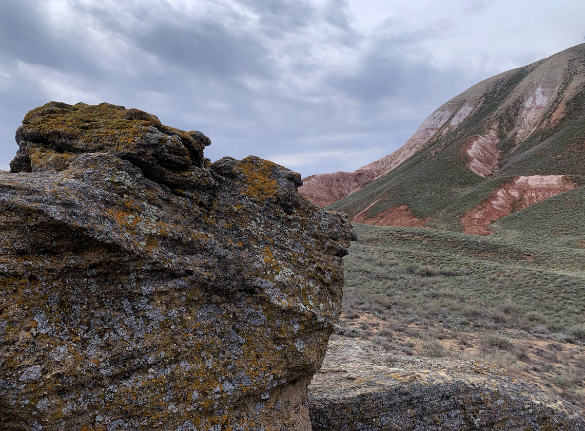 горы сложены. горы сложены. горы сложены. полуостров ак-булун. столовая гора бен балбен.