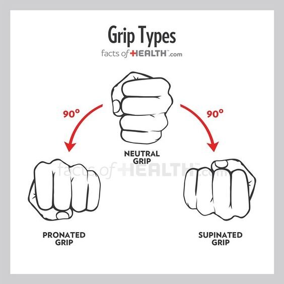 Прямой, нейтральный и обратный хваты 