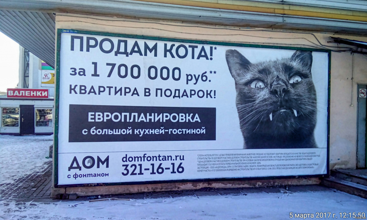 Читать онлайн Продам мужа в хорошие руки бесплатно