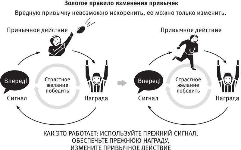 ВЫХОДЯ ИЗ ЗОНЫ КОМФОРТА , мы имеем возможность изменить привычку или отказаться от нее!