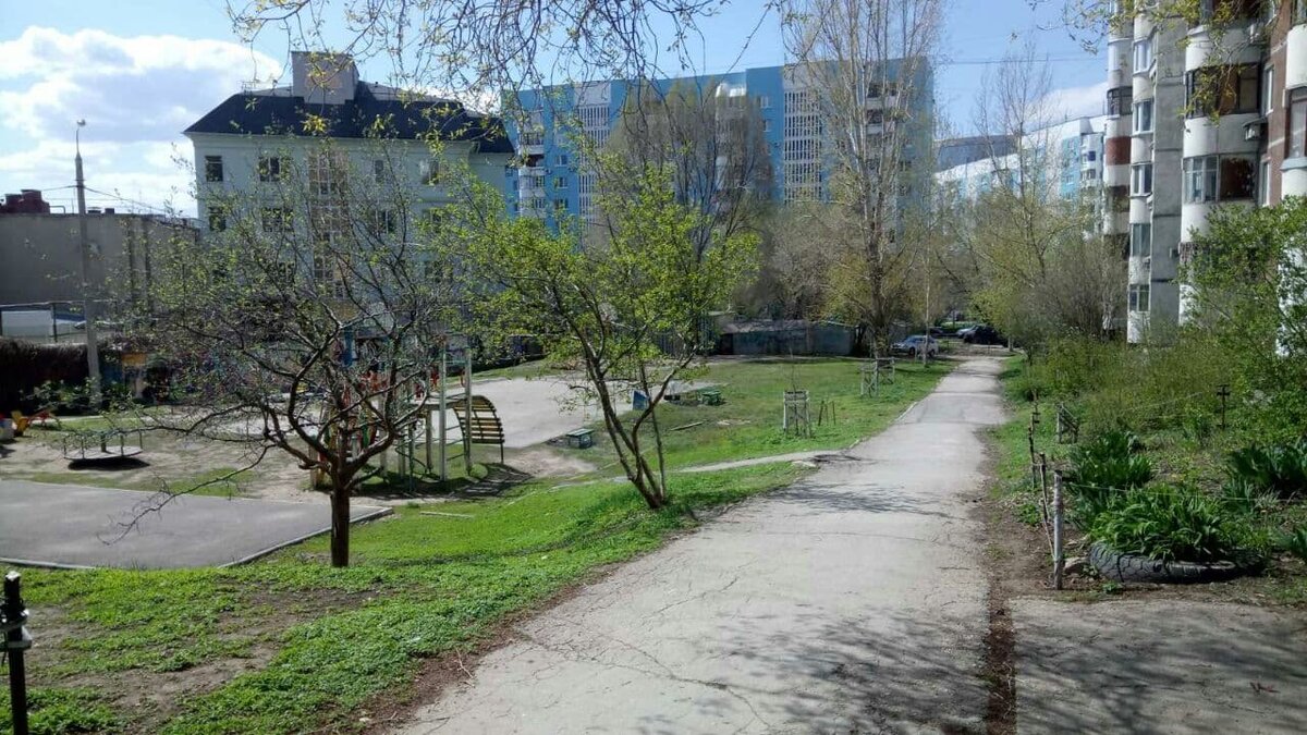 Фото автора.