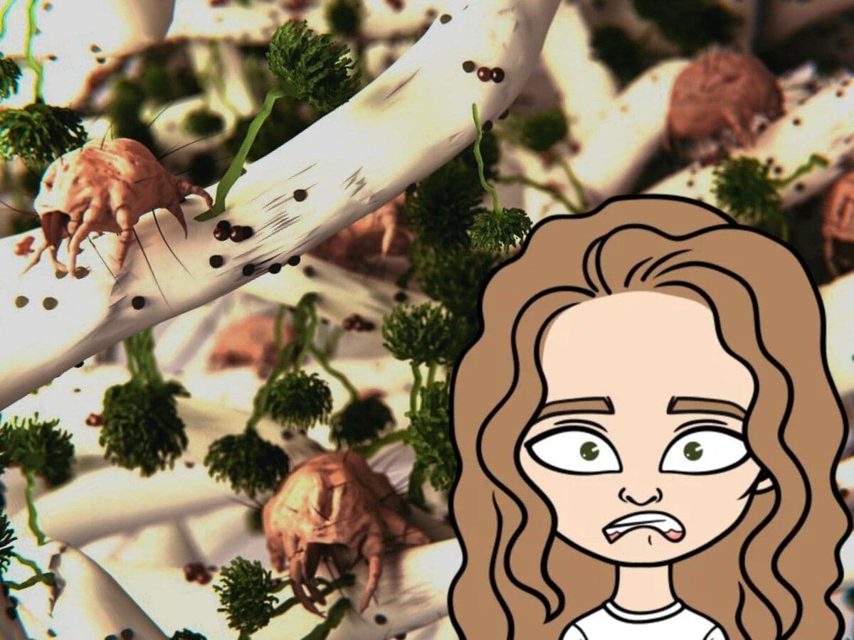 JUAN GAERTNER/SCIENCE PHOTO LIBRARY VIA GETTY IMAGES. Эта иллюстрация показывает, как выглядят пылевые клещи в матрасе. Пылевые клещи питаются плесенью (зеленой) и органическим детритом (мёртвое органическое вещество). Их фекалии (зеленоватые пятна) вызывают аллергические реакции. Блестящие коричневые сферы — это яйца пылевого клеща.