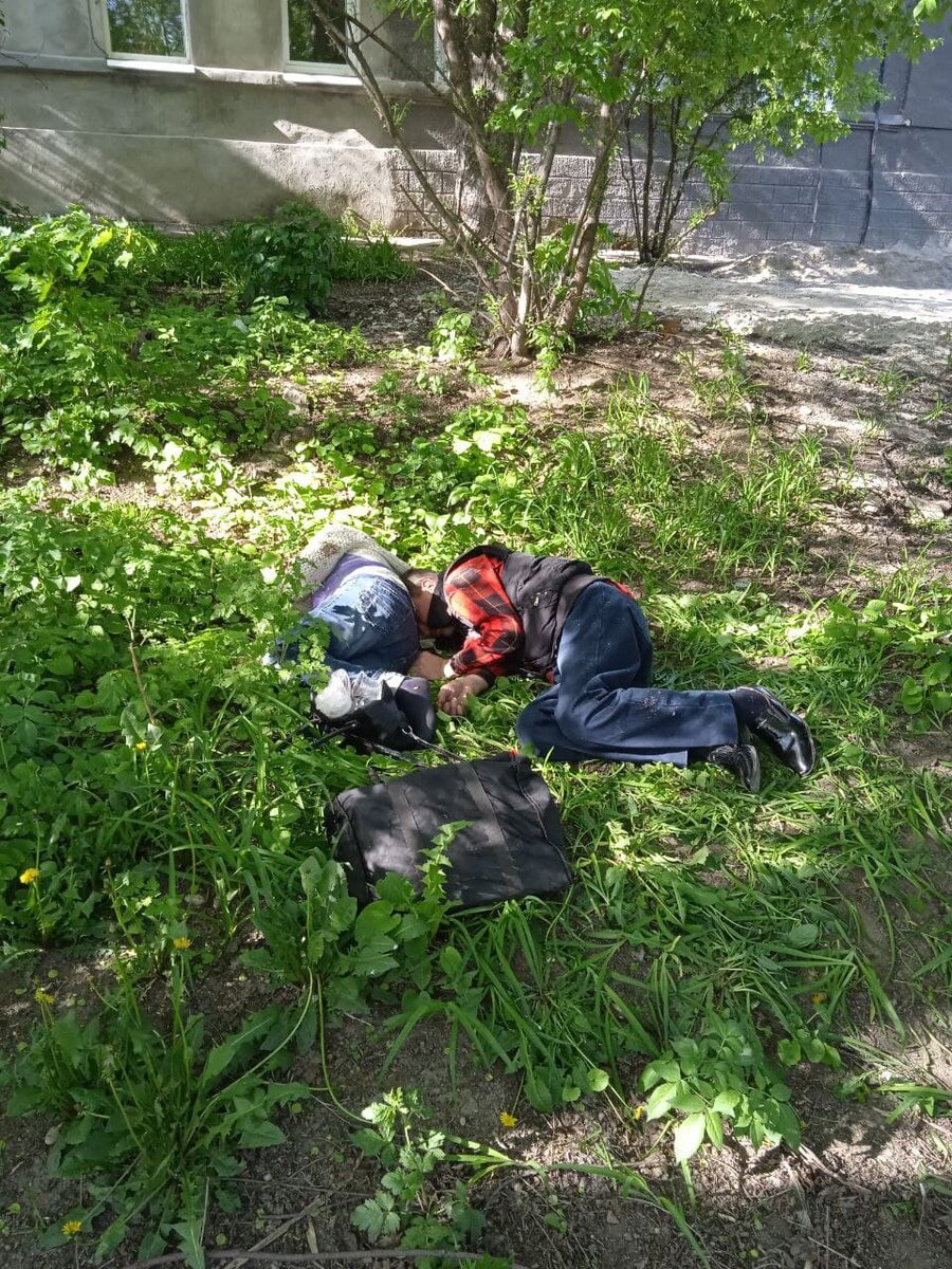 Хотя, в принципе, можно выжить и на халяву, если на зиму мигрировать на юга.